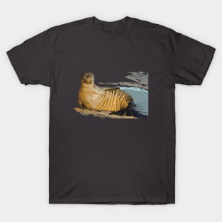Hawaiian Monk Seal T-Shirt